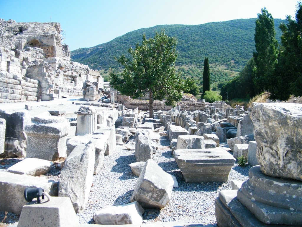 árboles en las ruinas de Ephesus