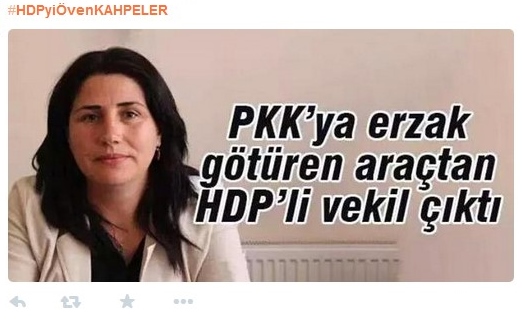 HDP en relación al PKK